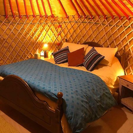 Mcclure Yurt At Carrigeen Glamping Kilkenny Exteriér fotografie