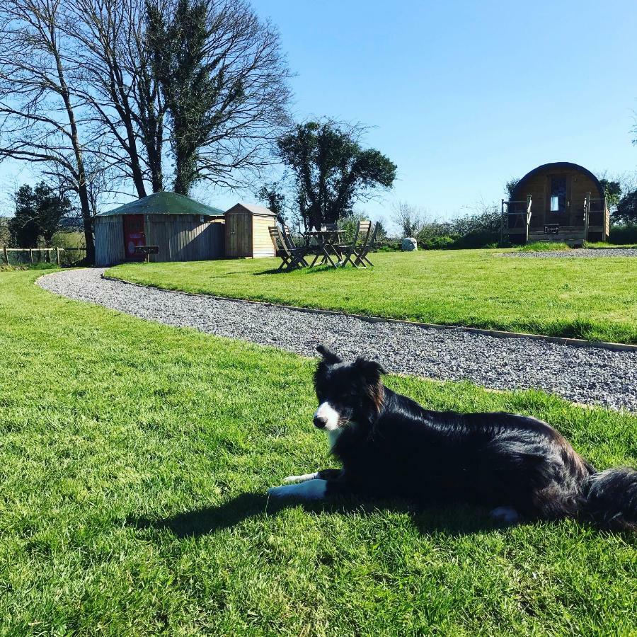 Mcclure Yurt At Carrigeen Glamping Kilkenny Exteriér fotografie